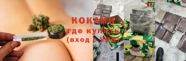 хмурый Бородино