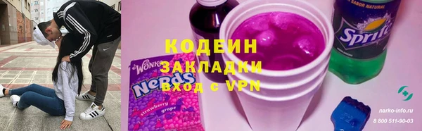 хмурый Бородино