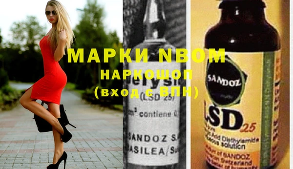 хмурый Бородино