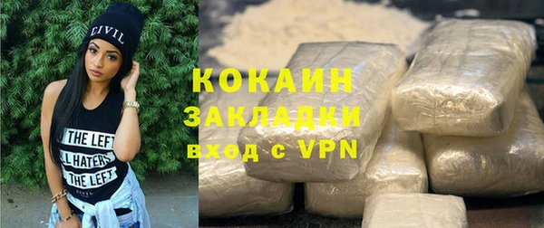 хмурый Бородино